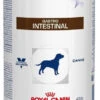 ROYAL CANIN Gastrointestinal 400g X12 -Royal Croquettes Promos Magasin fre pl ROYAL CANIN Gastrointestinal 400g x12 30664 3