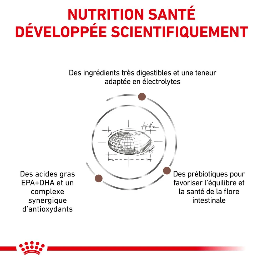 ROYAL CANIN Gastrointestinal Dog 7,5kg 6 ROYAL CANIN Gastrointestinal Dog 7,5kg – Image 4