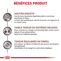 ROYAL CANIN Gastrointestinal Low Fat 6kg + Surprise Pour Votre Chien GRATUITES ! -Royal Croquettes Promos Magasin fre pl ROYAL CANIN Gastrointestinal Low Fat 6kg surprise pour votre chien GRATUITES 25241 1
