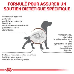 ROYAL CANIN Gastrointestinal Low Fat 6kg + Surprise Pour Votre Chien GRATUITES ! -Royal Croquettes Promos Magasin fre pl ROYAL CANIN Gastrointestinal Low Fat 6kg surprise pour votre chien GRATUITES 25241 4