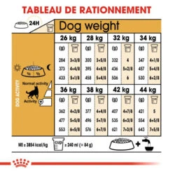 ROYAL CANIN German Shepherd Adult 11kg 13 ROYAL CANIN German Shepherd Adult 11kg -Royal Croquettes Promos Magasin fre pl ROYAL CANIN German Shepherd Adult 11kg 9899 6
