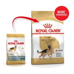 ROYAL CANIN German Shepherd Adult 11kg + Surprise Pour Votre Chien GRATUITES ! -Royal Croquettes Promos Magasin fre pl ROYAL CANIN German Shepherd Adult 11kg surprise pour votre chien GRATUITES 17883 3