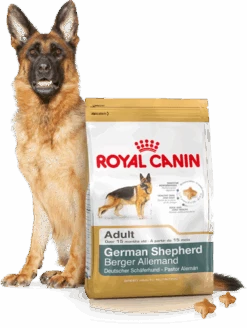 ROYAL CANIN German Shepherd Adult 11kg + Surprise Pour Votre Chien GRATUITES ! -Royal Croquettes Promos Magasin fre pl ROYAL CANIN German Shepherd Adult 11kg surprise pour votre chien GRATUITES 17883 5