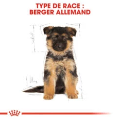 ROYAL CANIN German Shepherd Puppy 3kg -Royal Croquettes Promos Magasin fre pl ROYAL CANIN German Shepherd Puppy 3kg 16007 4