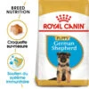 ROYAL CANIN German Shepherd Puppy 3kg X2 -Royal Croquettes Promos Magasin fre pl ROYAL CANIN German Shepherd Puppy 3kg x2 30765 1