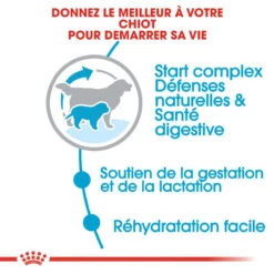 ROYAL CANIN Giant Starter Mother & Babydog 15kg -Royal Croquettes Promos Magasin fre pl ROYAL CANIN Giant Starter Mother Babydog 15kg 9537 4