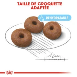 ROYAL CANIN Giant Starter Mother & Babydog 15kg -Royal Croquettes Promos Magasin fre pl ROYAL CANIN Giant Starter Mother Babydog 15kg 9537 5