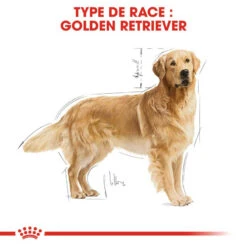 ROYAL CANIN Golden Retriever Adult 12kg -Royal Croquettes Promos Magasin fre pl ROYAL CANIN Golden Retriever Adult 12kg 29955 3