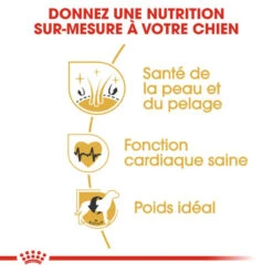 ROYAL CANIN Golden Retriever Adult 12kg -Royal Croquettes Promos Magasin fre pl ROYAL CANIN Golden Retriever Adult 12kg 29955 5