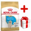 ROYAL CANIN Golden Retriever Puppy 12kg + Surprise Pour Votre Chien GRATUITES ! -Royal Croquettes Promos Magasin fre pl ROYAL CANIN Golden Retriever Puppy 12kg surprise pour votre chien GRATUITES 17884 1