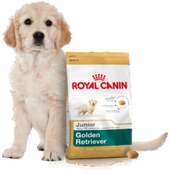 ROYAL CANIN Golden Retriever Puppy 12kg + Surprise Pour Votre Chien GRATUITES ! -Royal Croquettes Promos Magasin fre pl ROYAL CANIN Golden Retriever Puppy 12kg surprise pour votre chien GRATUITES 17884 4