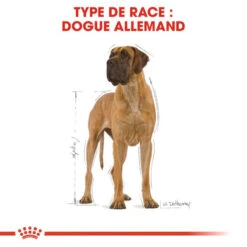 ROYAL CANIN Great Dane Adult 12kg -Royal Croquettes Promos Magasin fre pl ROYAL CANIN Great Dane Adult 12kg 9213 3
