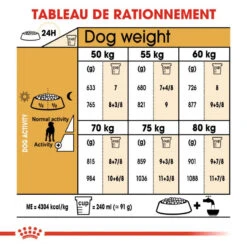 ROYAL CANIN Great Dane Adult 12kg -Royal Croquettes Promos Magasin fre pl ROYAL CANIN Great Dane Adult 12kg 9213 6