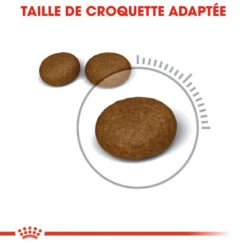 ROYAL CANIN Hair And Skin Care 4kg -Royal Croquettes Promos Magasin fre pl ROYAL CANIN Hair And Skin Care 4kg 16023 7