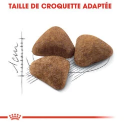 ROYAL CANIN Indoor 27 10kg -Royal Croquettes Promos Magasin fre pl ROYAL CANIN Indoor 27 10kg 16030 4