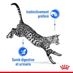 ROYAL CANIN Indoor Sterilised Sauce 12x85g -Royal Croquettes Promos Magasin fre pl ROYAL CANIN Indoor Sterilised Sauce 12x85g 12296 3