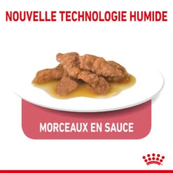 ROYAL CANIN Indoor Sterilised Sauce 12x85g -Royal Croquettes Promos Magasin fre pl ROYAL CANIN Indoor Sterilised Sauce 12x85g 12296 4