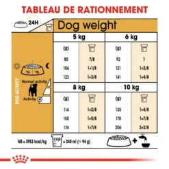 ROYAL CANIN Jack Russell Terrier Adult 1,5kg 12 ROYAL CANIN Jack Russell Terrier Adult 1,5kg -Royal Croquettes Promos Magasin fre pl ROYAL CANIN Jack Russell Terrier Adult 1 5kg 16916 4