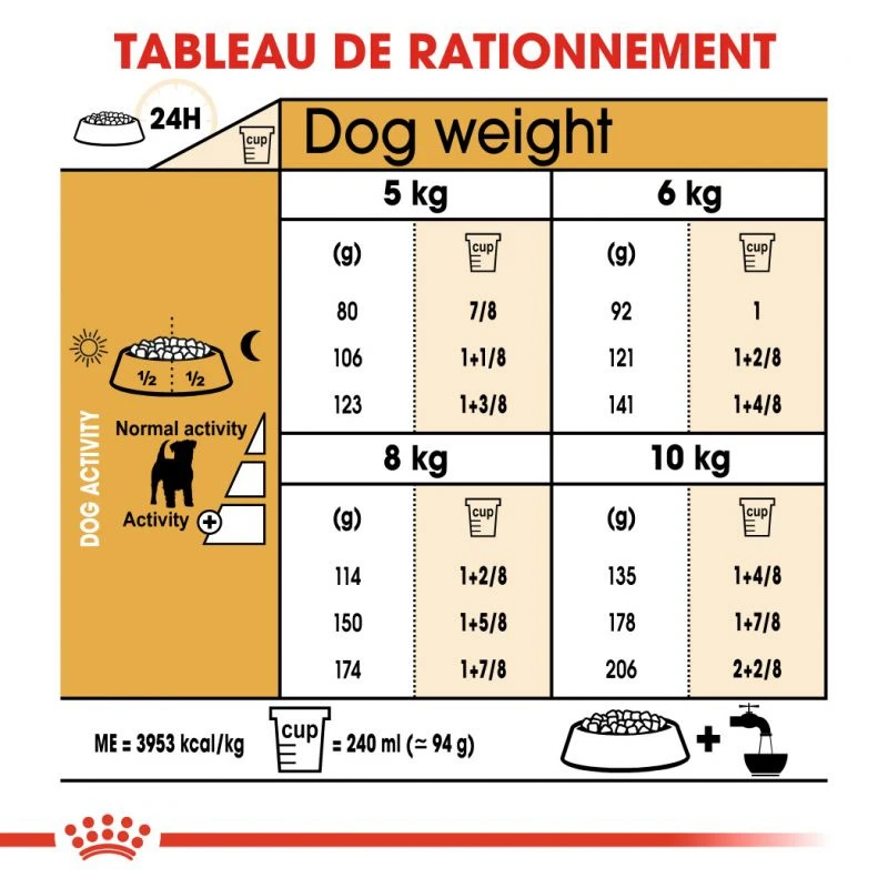 ROYAL CANIN Jack Russell Terrier Adult 1,5kg 7 ROYAL CANIN Jack Russell Terrier Adult 1,5kg – Image 5