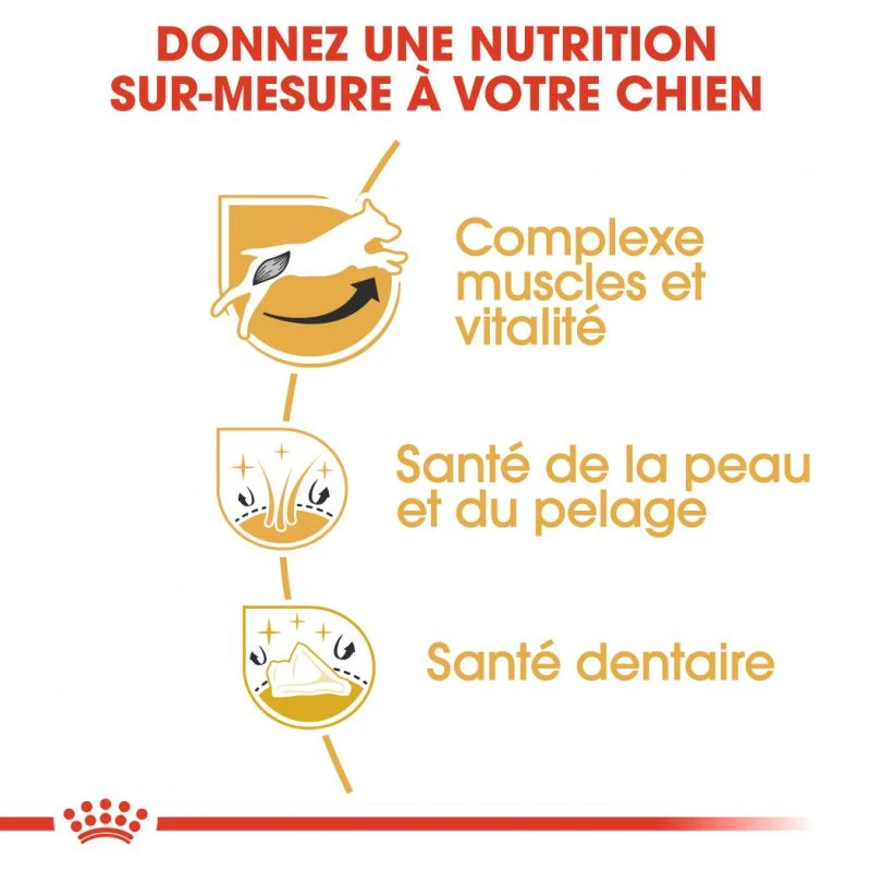 ROYAL CANIN Jack Russell Terrier Adult 1,5kg 4 ROYAL CANIN Jack Russell Terrier Adult 1,5kg – Image 2