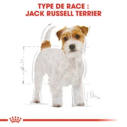 ROYAL CANIN Jack Russell Terrier Adult 500g 10 ROYAL CANIN Jack Russell Terrier Adult 500g -Royal Croquettes Promos Magasin fre pl ROYAL CANIN Jack Russell Terrier Adult 500g 16917 7