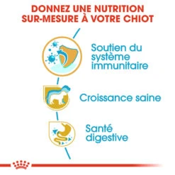 ROYAL CANIN Jack Russell Terrier Puppy 500g X2 10 ROYAL CANIN Jack Russell Terrier Puppy 500g X2 -Royal Croquettes Promos Magasin fre pl ROYAL CANIN Jack Russell Terrier Puppy 500g x2 30744 2