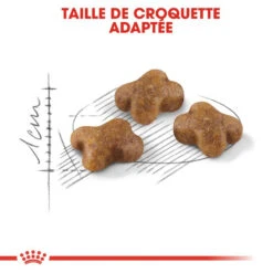 ROYAL CANIN Kitten 2kg -Royal Croquettes Promos Magasin fre pl ROYAL CANIN Kitten 2kg 9250 6
