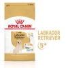 ROYAL CANIN Labrador Retriever Adult5+ 12kg -Royal Croquettes Promos Magasin fre pl ROYAL CANIN Labrador Retriever Adult 5 12kg 12525 1