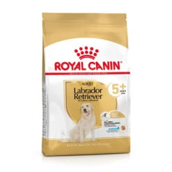 Nouvelles versions -Royal Croquettes Promos Magasin fre pl ROYAL CANIN Labrador Retriever Adult 5 12kg 12525 2