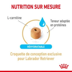ROYAL CANIN Labrador Retriever Adult 5+ 3kg -Royal Croquettes Promos Magasin fre pl ROYAL CANIN Labrador Retriever Adult 5 3kg 12526 2