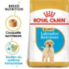 ROYAL CANIN Labrador Retriever Puppy 3kg X2 -Royal Croquettes Promos Magasin fre pl ROYAL CANIN Labrador Retriever Puppy 3kg x2 30767 1