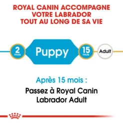 ROYAL CANIN Labrador Retriever Puppy 3kg X2 -Royal Croquettes Promos Magasin fre pl ROYAL CANIN Labrador Retriever Puppy 3kg x2 30767 4