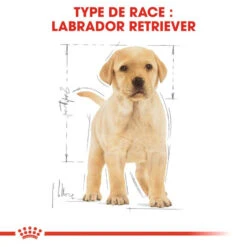 ROYAL CANIN Labrador Retriever Puppy 3kg X2 -Royal Croquettes Promos Magasin fre pl ROYAL CANIN Labrador Retriever Puppy 3kg x2 30767 5
