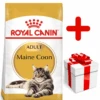 ROYAL CANIN Maine Coon Adult 10kg + Surprise Pour Votre Chat GRATUITES ! -Royal Croquettes Promos Magasin fre pl ROYAL CANIN Maine Coon Adult 10kg surprise pour votre chat GRATUITES 17885 1