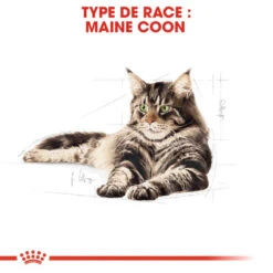 ROYAL CANIN Maine Coon Adult 2kg 10 ROYAL CANIN Maine Coon Adult 2kg -Royal Croquettes Promos Magasin fre pl ROYAL CANIN Maine Coon Adult 2kg 16069 3