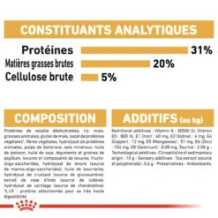 ROYAL CANIN Maine Coon Adult 2kg 13 ROYAL CANIN Maine Coon Adult 2kg -Royal Croquettes Promos Magasin fre pl ROYAL CANIN Maine Coon Adult 2kg 16069 7