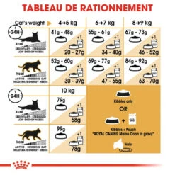 ROYAL CANIN Maine Coon Adult 400g -Royal Croquettes Promos Magasin fre pl ROYAL CANIN Maine Coon Adult 400g 16070 6