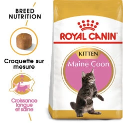 ROYAL CANIN Maine Coon Kitten 10kg