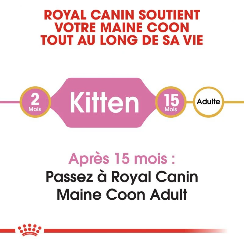 ROYAL CANIN Maine Coon Kitten 10kg 4 ROYAL CANIN Maine Coon Kitten 10kg – Image 2