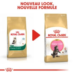 ROYAL CANIN Maine Coon Kitten 10kg 10 ROYAL CANIN Maine Coon Kitten 10kg -Royal Croquettes Promos Magasin fre pl ROYAL CANIN Maine Coon Kitten 10kg 16072 3