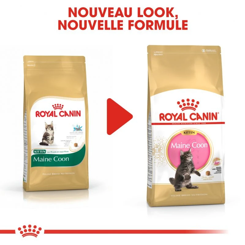 ROYAL CANIN Maine Coon Kitten 10kg 5 ROYAL CANIN Maine Coon Kitten 10kg – Image 3