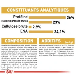 ROYAL CANIN Maine Coon Kitten 10kg 13 ROYAL CANIN Maine Coon Kitten 10kg -Royal Croquettes Promos Magasin fre pl ROYAL CANIN Maine Coon Kitten 10kg 16072 6