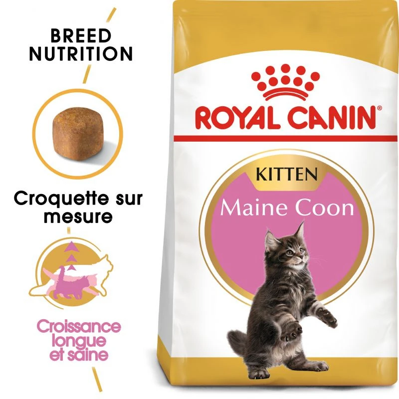 ROYAL CANIN Maine Coon Kitten 2kg 4 ROYAL CANIN Maine Coon Kitten 2kg – Image 2