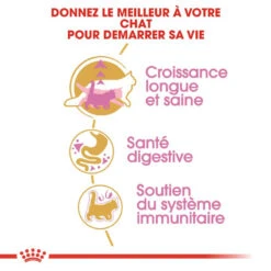 ROYAL CANIN Maine Coon Kitten 2kg 11 ROYAL CANIN Maine Coon Kitten 2kg -Royal Croquettes Promos Magasin fre pl ROYAL CANIN Maine Coon Kitten 2kg 9612 3