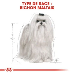 ROYAL CANIN Maltese Adult 1,5kg -Royal Croquettes Promos Magasin fre pl ROYAL CANIN Maltese Adult 1 5kg 16967 5
