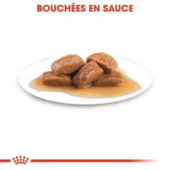 Nouvelles versions -Royal Croquettes Promos Magasin fre pl ROYAL CANIN Maxi Adult 10x140g 9823 4