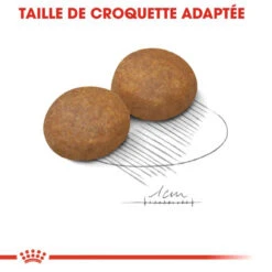 ROYAL CANIN Maxi Adult 5+ 15kg -Royal Croquettes Promos Magasin fre pl ROYAL CANIN Maxi Adult 5 15kg 16792 6