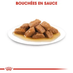 ROYAL CANIN Medium Adult 10x140g 10 ROYAL CANIN Medium Adult 10x140g -Royal Croquettes Promos Magasin fre pl ROYAL CANIN Medium Adult 10x140g 9820 3