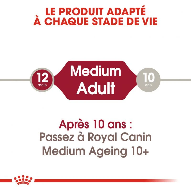 ROYAL CANIN Medium Adult 10x140g 6 ROYAL CANIN Medium Adult 10x140g – Image 4