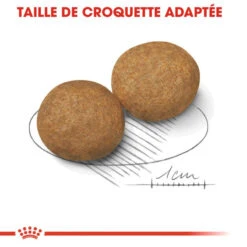 ROYAL CANIN Medium Adult 15kg 10 ROYAL CANIN Medium Adult 15kg -Royal Croquettes Promos Magasin fre pl ROYAL CANIN Medium Adult 15kg 29943 3